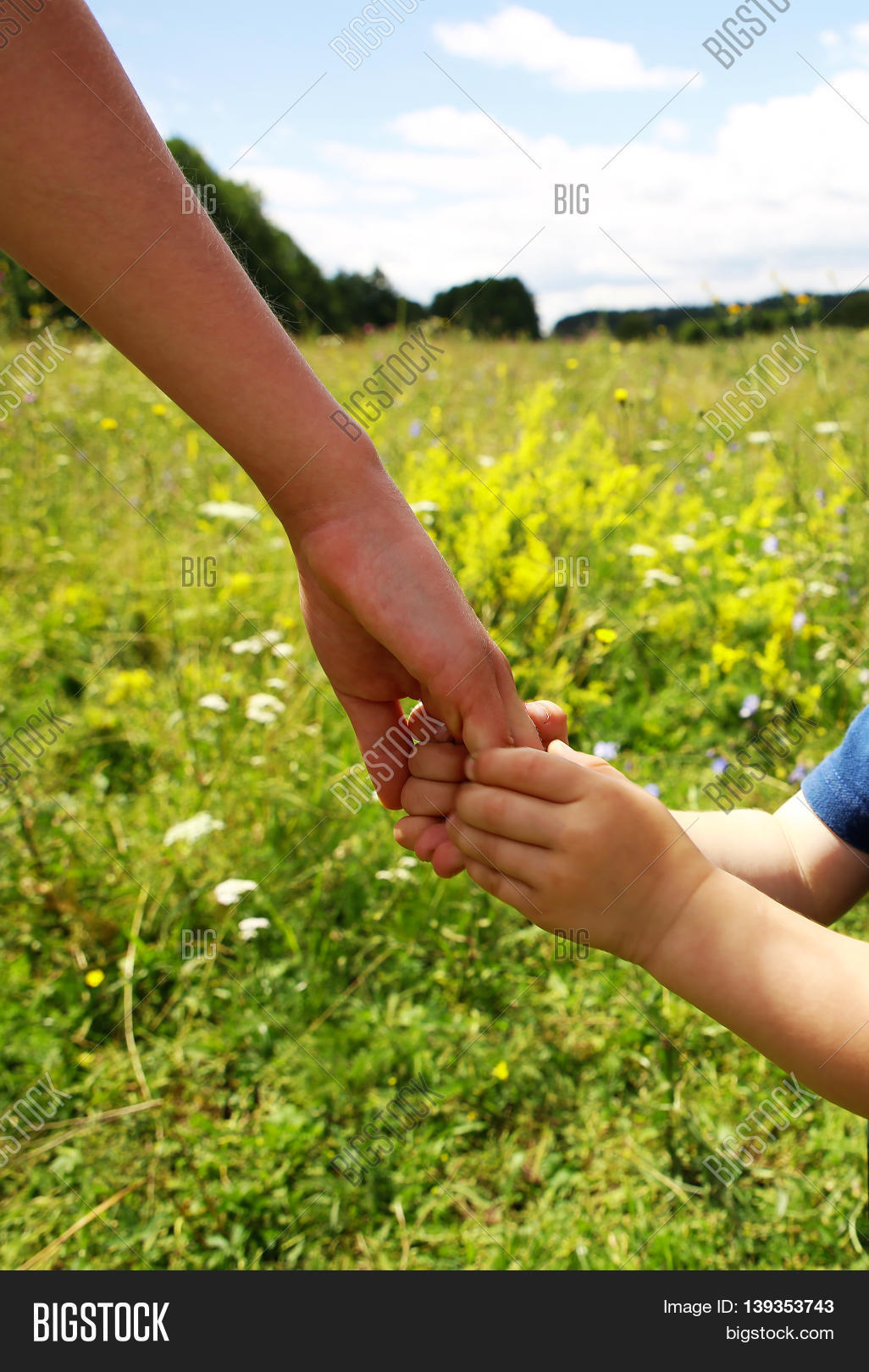 Gentle Parental Hands Image & Photo (Free Trial) Bigstock
