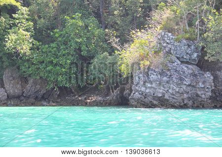 Part Of Rock In Andaman Sea Closeup