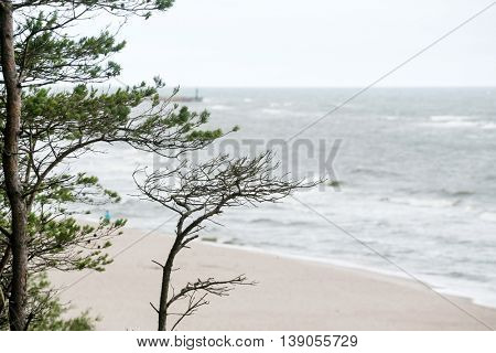 Baltic sea