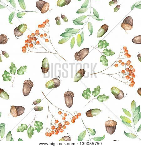 A seamless pattern with a floral ornament of the watercolor forest elements (oak acorns, rowan and branches) on a white background