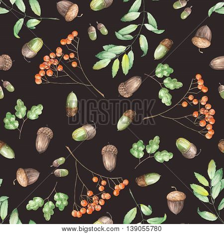 A seamless pattern with a floral ornament of the watercolor forest elements (oak acorns, rowan and branches) on a dark background