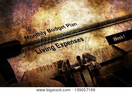 Monthly Budget Plan Living Expenses