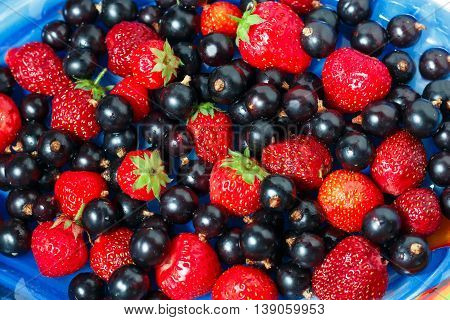 Summer berries black currant, strawberry on blue dish