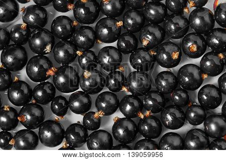 Summer Ripe Berry black currant closeup background