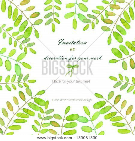 Background, template postcard with the acacia tree branches, hand drawn on a white background, background for your card and work