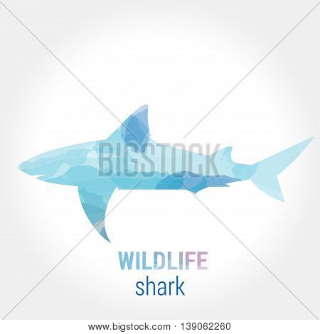 Wildlife banner on white background. Colored watercolor silhouette shark. Poster for pisciculture, journey, park culture.