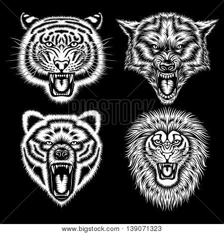 Set of Angry Animal Heads Vector Illustration