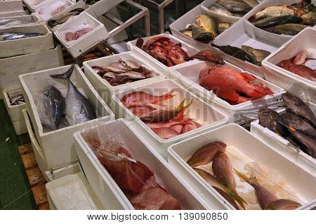 London Fish Market