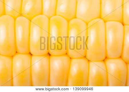 ear of corn as background close-up macro.