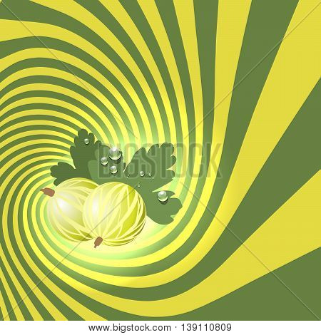 Striped spiral goosberry patisserie background. Goosberry fruit color. Goosberry spiral tunnel. Spiral background for cover design of goosberry fruit products. Vector Illustration.