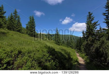 Sunny Summer Day In Krkonose Mountains National Park