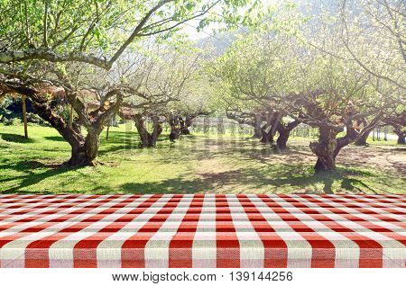 Outdoor Picnic Background In Summer Sun Light.