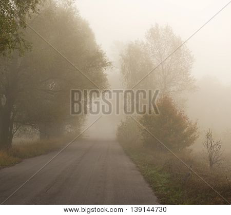 asphalt road in the fog autumn seson