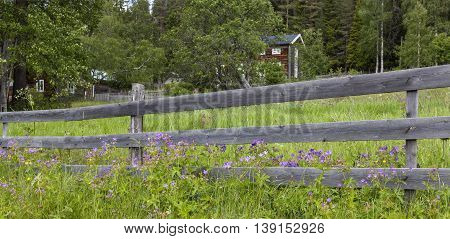 Wooden fence, wildflowers, cranesbill on a slope. Homestead, timber building in the background.