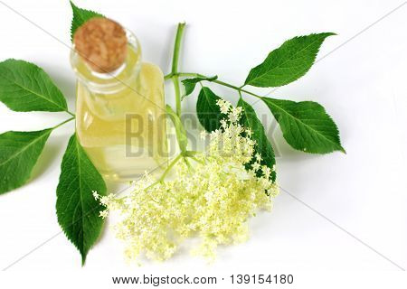 Sambucus nigra elderberry sirup on white background. Bottle of excellent syrup with flowers and leaves.