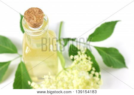 Sambucus nigra elderberry sirup on white background. Bottle of excellent syrup with flowers and leaves.