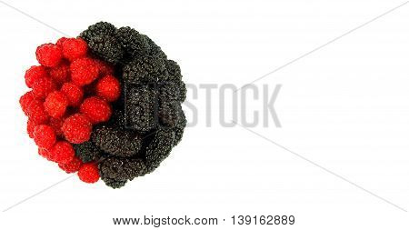 Red raspberry and dark mulberry in the form of Yin Yang isolated on white background with copy space. Healthy food. Artistic retouching.