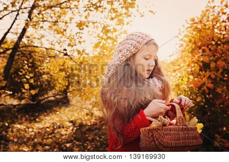 happy child girl in knitted scarf and sweater with basket on autumn walk in forest eating apples. Fall harvest cozy mood.