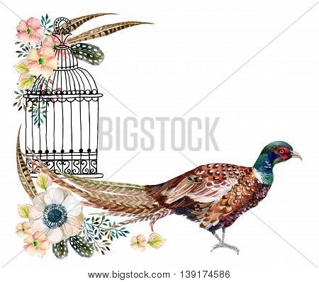 Watercolor Swinhoe pheasant card. Hand painted illustration with Anemones herbs feathers pheasant and bird cage