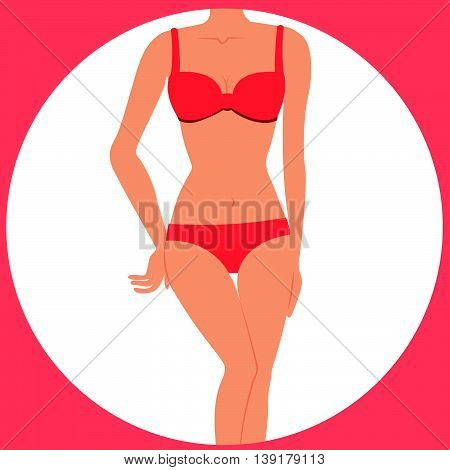 female body with red underwear  illustration vector