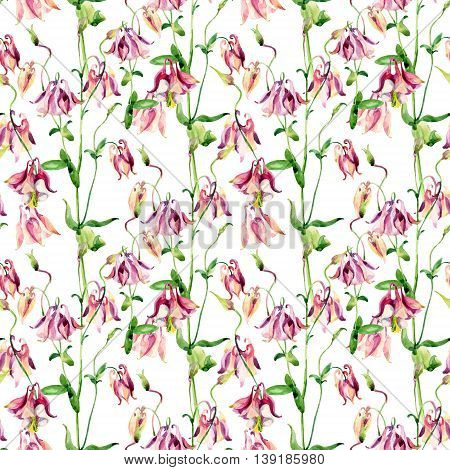 Watercolor meadow bellflowers seamless pattern. Watercolor wild columbine flowers on white background. Hand painted illustration