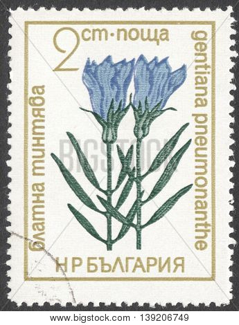 MOSCOW RUSSIA - CIRCA JANUARY 2016: a post stamp printed in BULGARIA shows a plant with the inscription 