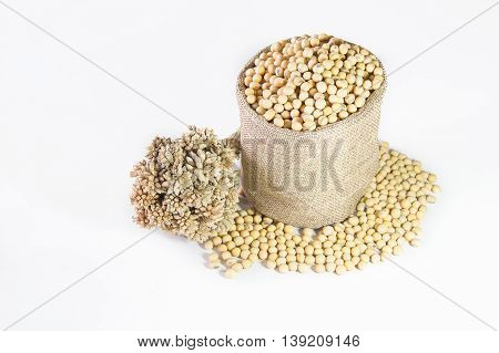 Soy bean in small hemp bag with flowers isolated