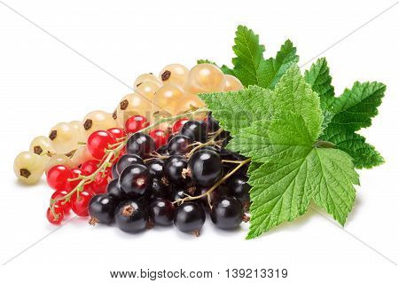 Clusters (bunches) Of Red,white And Black Currants Together