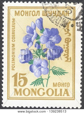 MOSCOW RUSSIA - CIRCA JANUARY 2016: a post stamp printed in MONGOLIA shows a flower with the inscription 