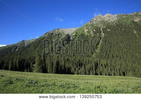 closeup of beautiful mountain landscape in xinjiang china