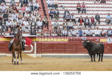 Jaen SPAIN - October 13 2008: Alvaro Montes bullfighter on horseback spanish Jaen Spain