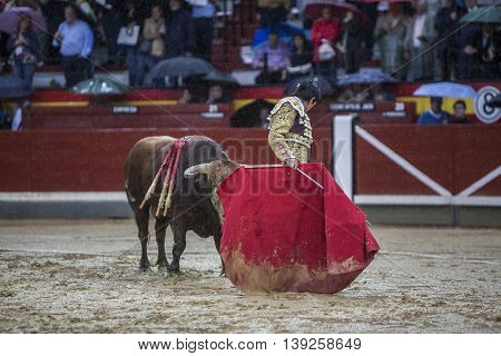 Jaen SPAIN - October 18 2008: The Spanish Bullfighter Sebastian Castella during a rainy afternoon bullfighting with the crutch in the Bullring of Jaen Spain