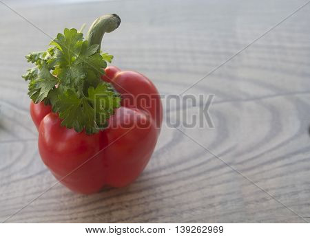 set fresh vegetable with green leaf isolated on background