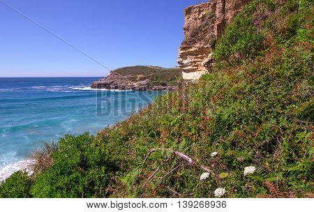 Steep on an ocean coast in the summer. Northern Spain Cantabria Atalantichesky ocean. Summer the coast the blue ocean and the flat line of the horizon in the distance has grown with a grass and plants.