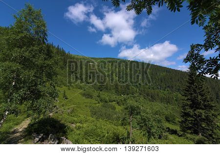 Sunny Summer Day In Krkonose Mountains National Park