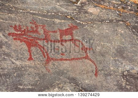 Ancient Rock Paintings In Naesaaker Ins Sweden