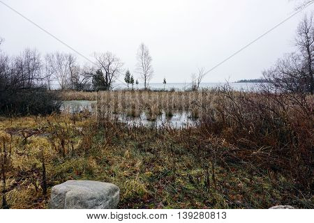 A swamp stands next to Little Traverse Bay in Wequetonsing, Michigan.