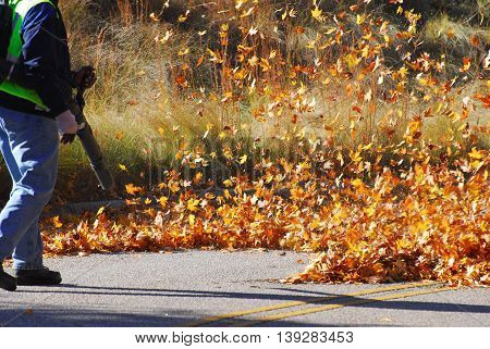 outdoor manual worker clean the fallen leaves on the road by blower in autumn