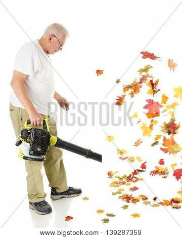 A senior man blowing autumn leaves with his gas driven leaf blower.  Motion blur on leaves.  On a white background.