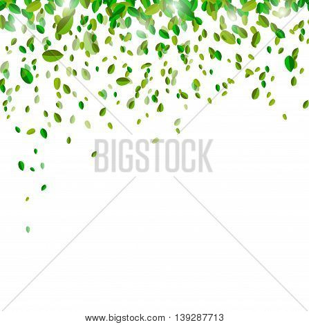 leaves confetti on white background for you design