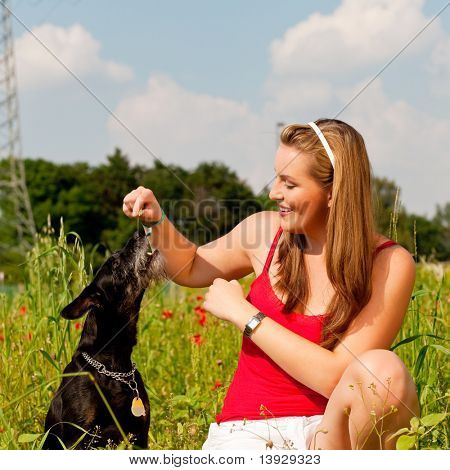 Donna sta giocando con il suo cane su un prato in estate