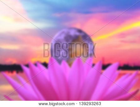 de-focused; petal of pink water-lily and Buddha image in globe with colorful sunset scene the water-lily is a symbol of holy flower in Buddhism flower use offer sacrifice for monk and Buddha image