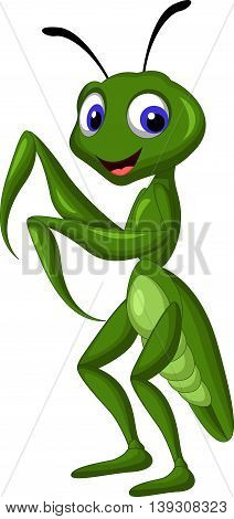 cute green a Praying mantis grasshopper standing