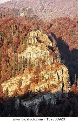 The rock in autumn forest by sunset in Harmanec Slovak republic. Natural scene. Vertical composition. Deciduous trees. Beautiful place.