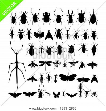 Insect silhouettes vector on white color background