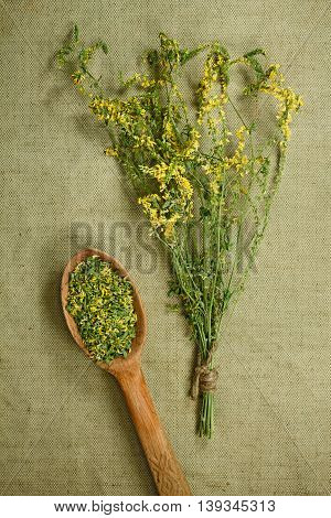 Melilot sweet clover. Dried herbs for use in alternative medicine. Herbal medicine phytotherapy medicinal herbs. For the preparation of infusions decoctions tinctures powders ointments tea. Background green cloth