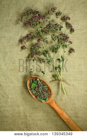 Oregano. Dried herbs for use in alternative medicine. Herbal medicine phytotherapy medicinal herbs. For the preparation of infusions decoctions tinctures powders ointments tea. Background green cloth
