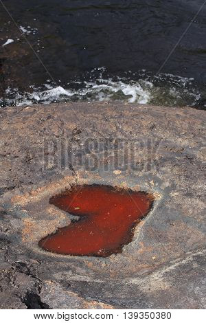 Puddle With A Bright Red Color Caused By Algae