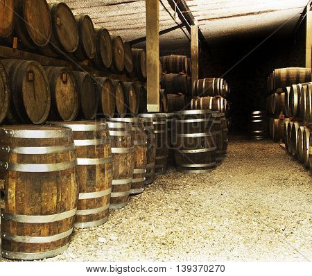 Wine barrels stacked in the old cellar of the winery.