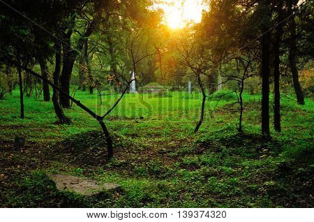 Burial mounds in the wooded Confucius Family Cemetery in the city of Qufu located in Shandong province China as the sun sets.